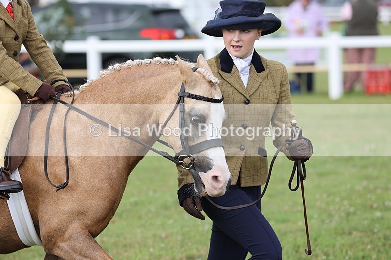 JPP_0358 - Class 14: Cornish Combination Leading Rein