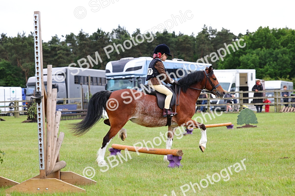 SBM_08777 - Class 42-43 - LIHS BSPS Heritage Working Sports Pony