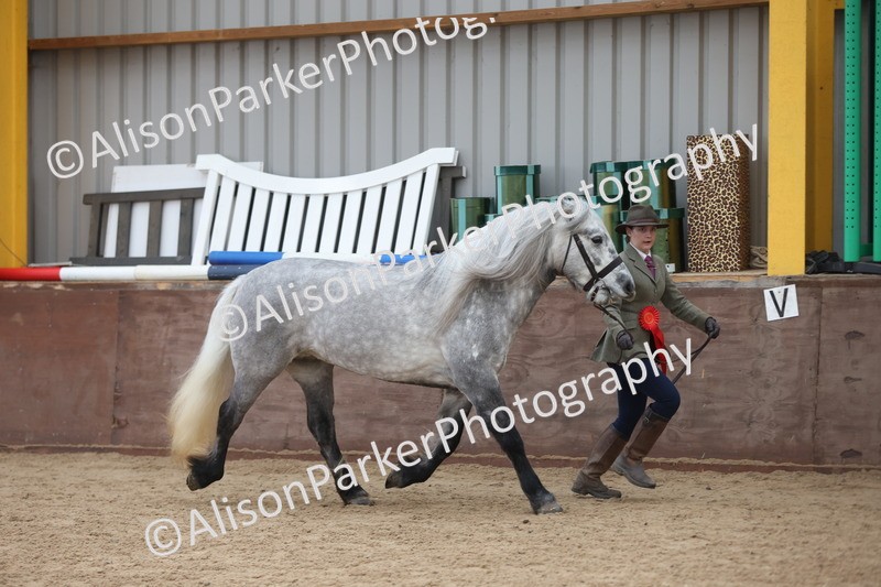 20251109-1121 - Championship