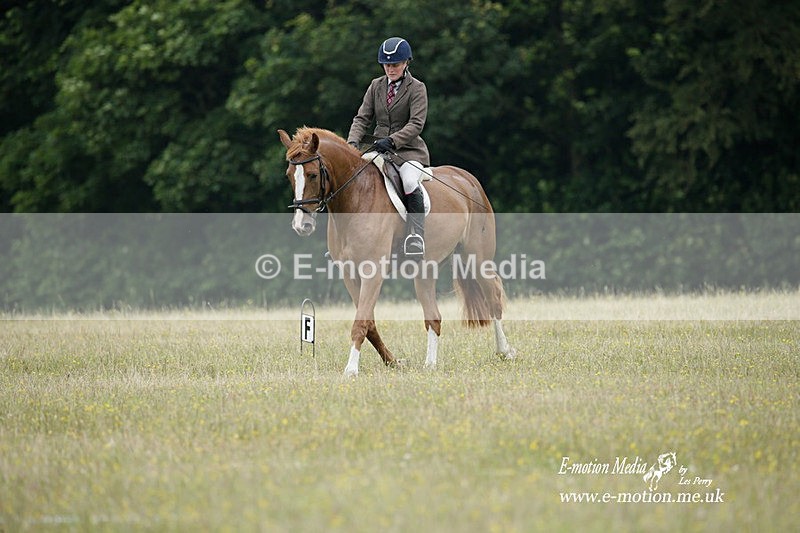 BVRC 030721 10 - Bourne Valley Riding Club Dressage 03/07/21