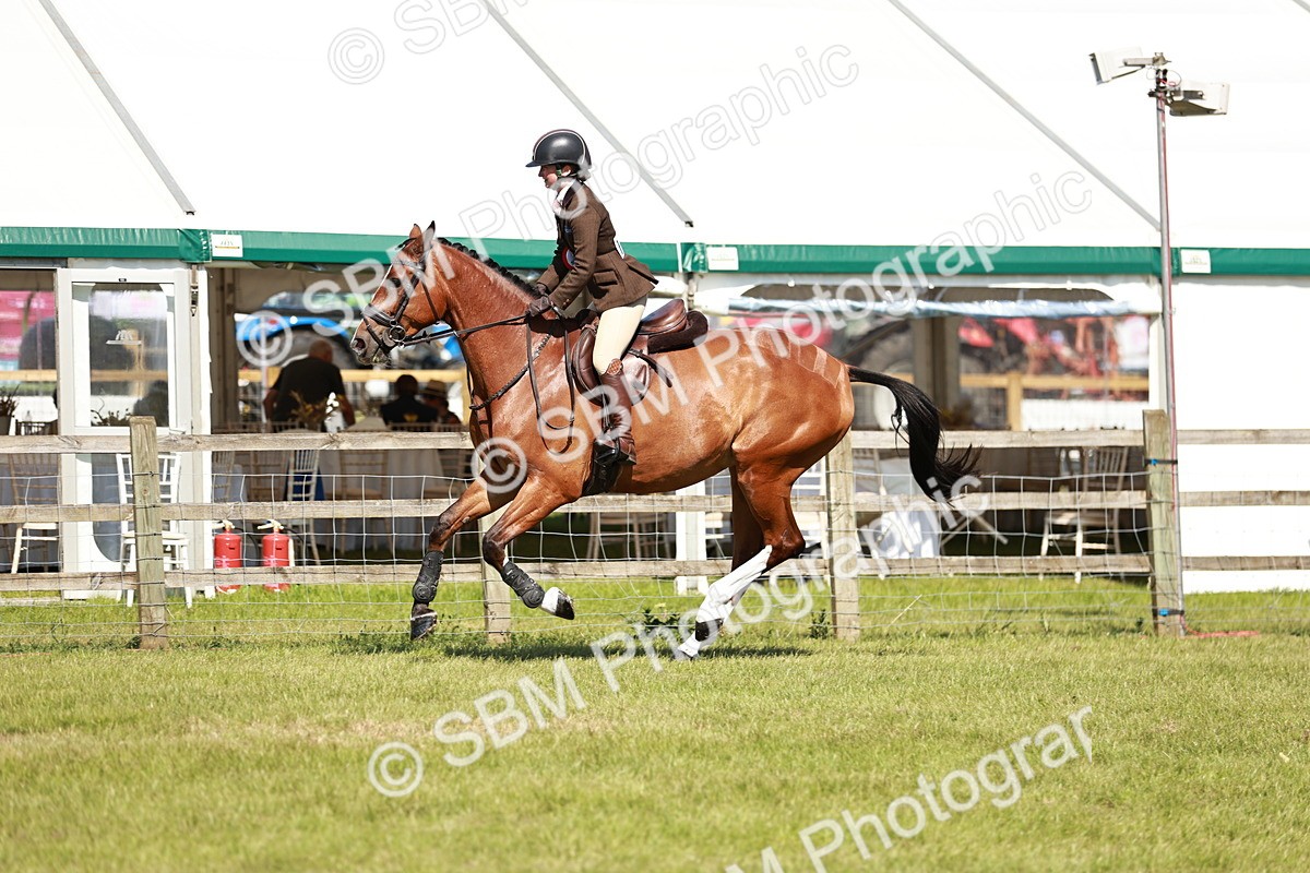 SBM_18537 - Class 112-113 - BSPS LIHS Working Sports Pony
