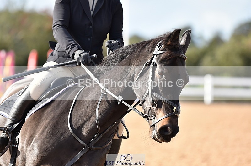 231014A-144244-05339 - Cls 15 1.05m Amateur Q 2nd R