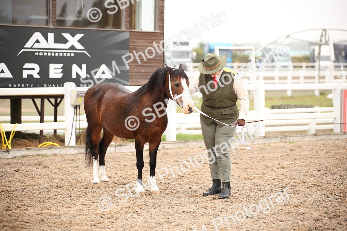 SBM_19298 - Class 701 - Best Turned Out IH & Ridden