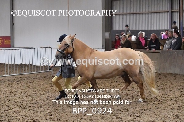 BPP_0924 - RING 1