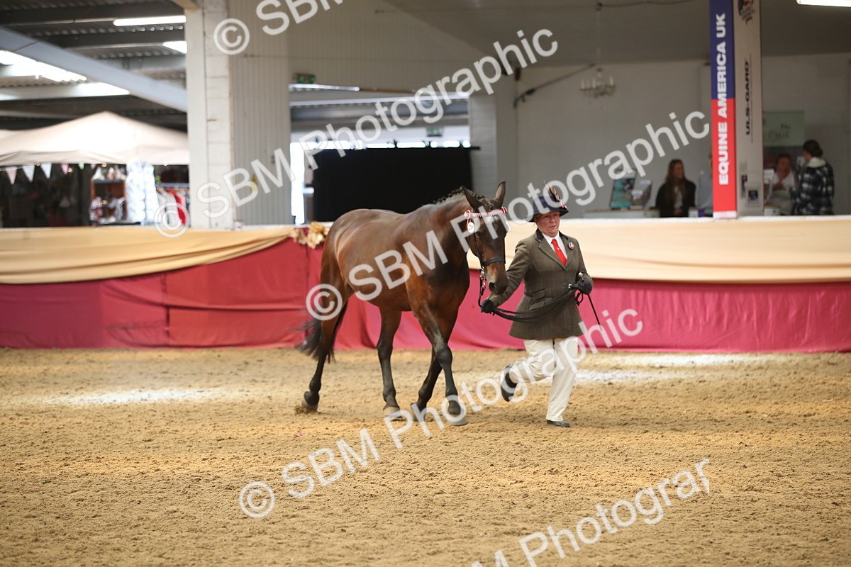 SBM_05315 - Class 8R - Regional IH Veteran