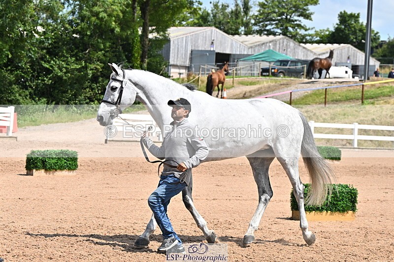 240718A-105258-01388 - Trot Up 12pm to 1pm