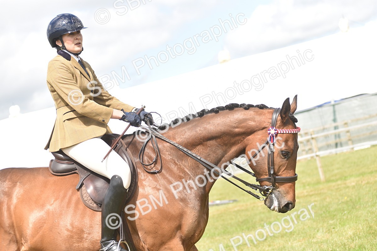 SBM_15106 - Class 113-114 - Retraining of Racehorses Ridden