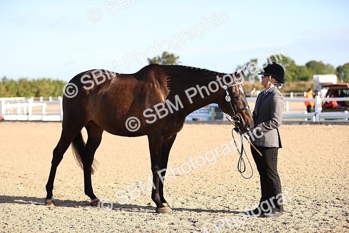 SBM_08347 - Class 401 - IH Veteran Horse