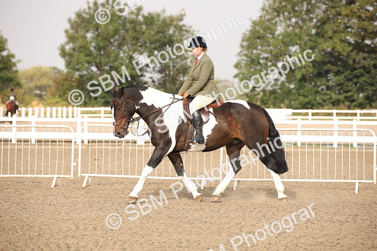 SBM_10242 - Class 402 Riding Club Horse