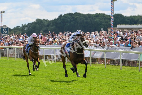 140625-Race 3-Al Qareem-2469 - Race 3 3.00pm Sky Bet Race To The Ebor Grand Cup Stakes
