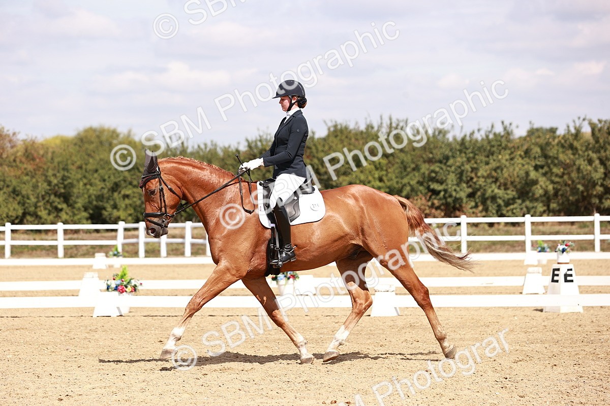 SBM_018471 - Class 17 - Novice 6