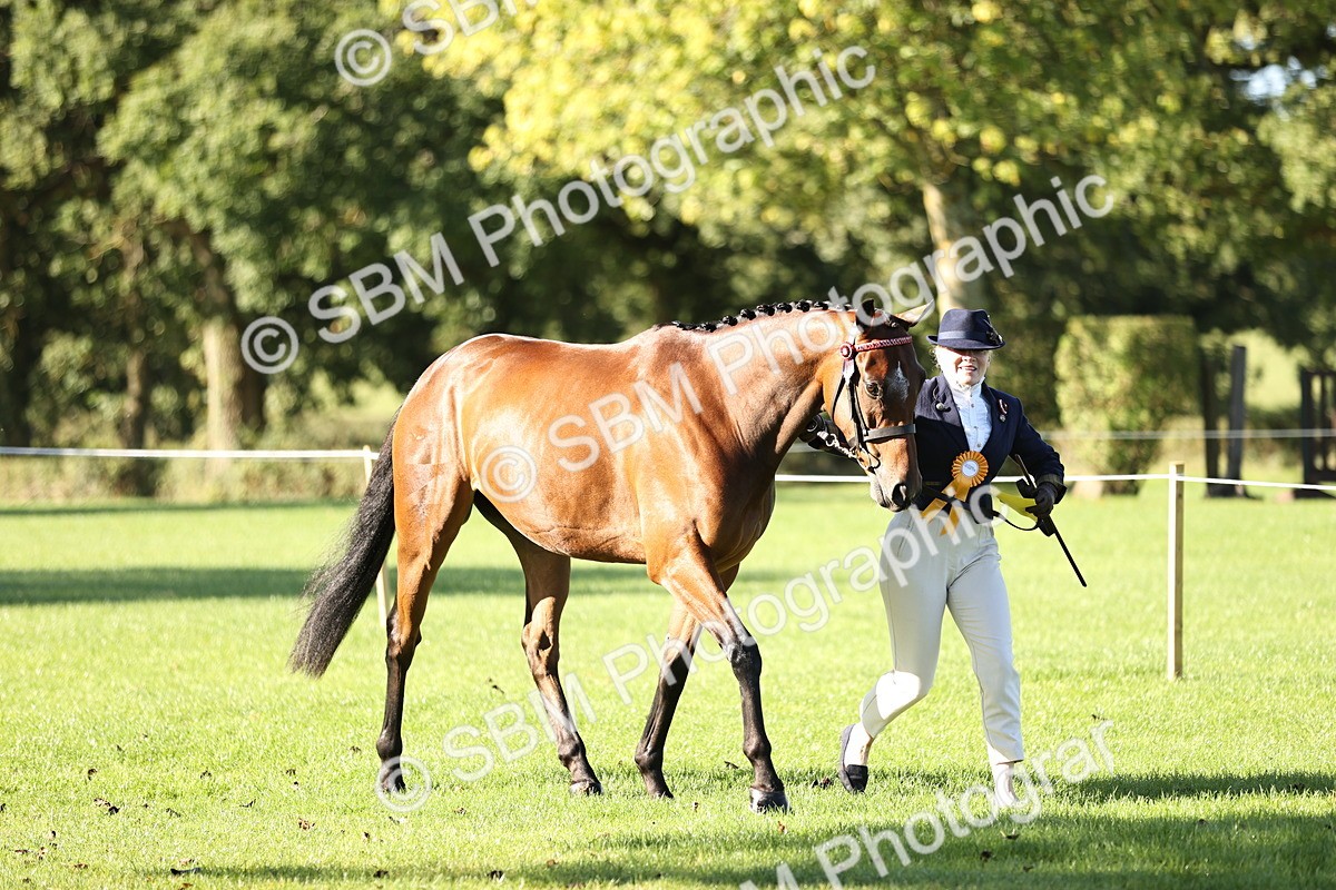 SBM_15800 - S1 - TSR in Hand Horse & Pony Showing