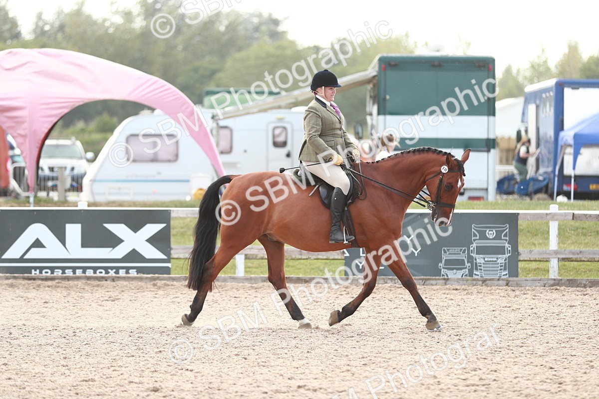 SBM_15499 - Class 213 Ridden Hunter -Large