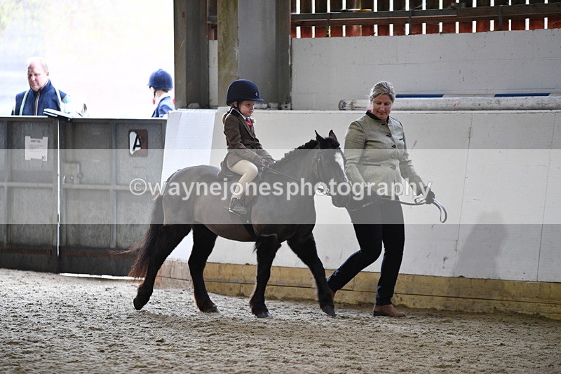 WJ5_6588 - Class 10 Childs Pony