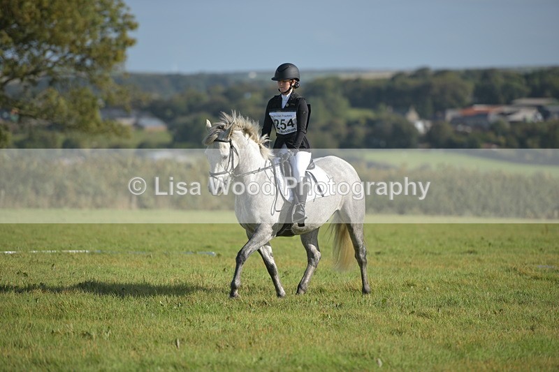 RAY_7353 - Class 2B: Trekenning Open: Dressage