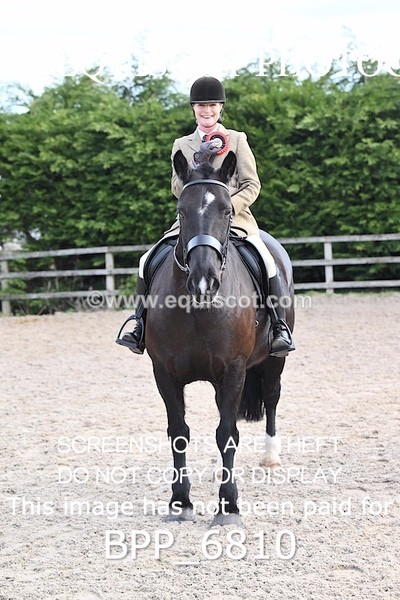 BPP_6810 - RING 1  (RIDDEN HORSES / IN HAND / VETERAN ETC)