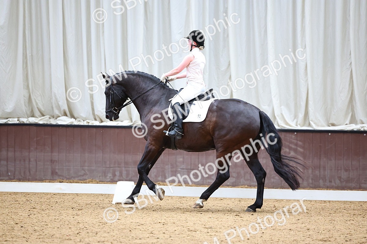 SBM_005542 - Elementary 2