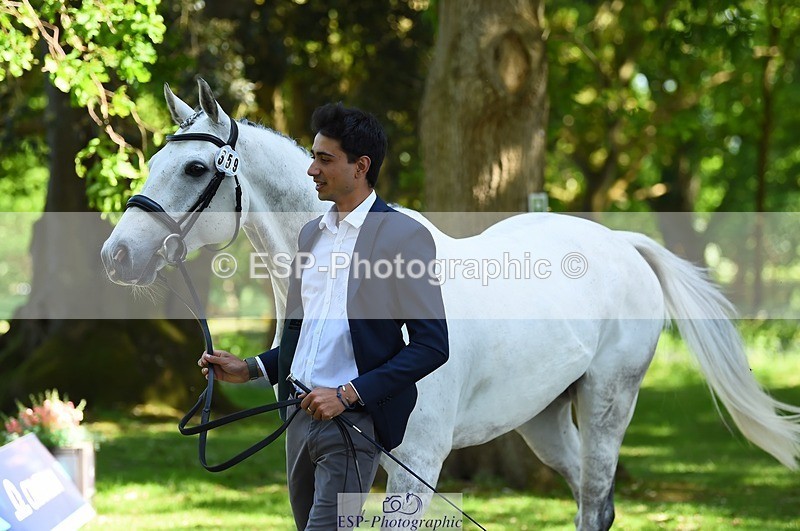 230524-153404-00362 - 359-LONG_BEACH-Giorgio_Nardilli-WEDTrotUp+DR