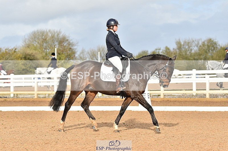 231104A-112810-01546 - Cls 5 Novice 37A