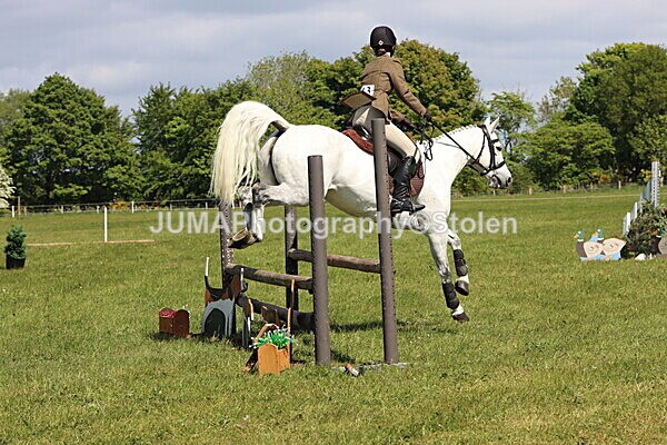 IMG_4496 - Working Hunter
