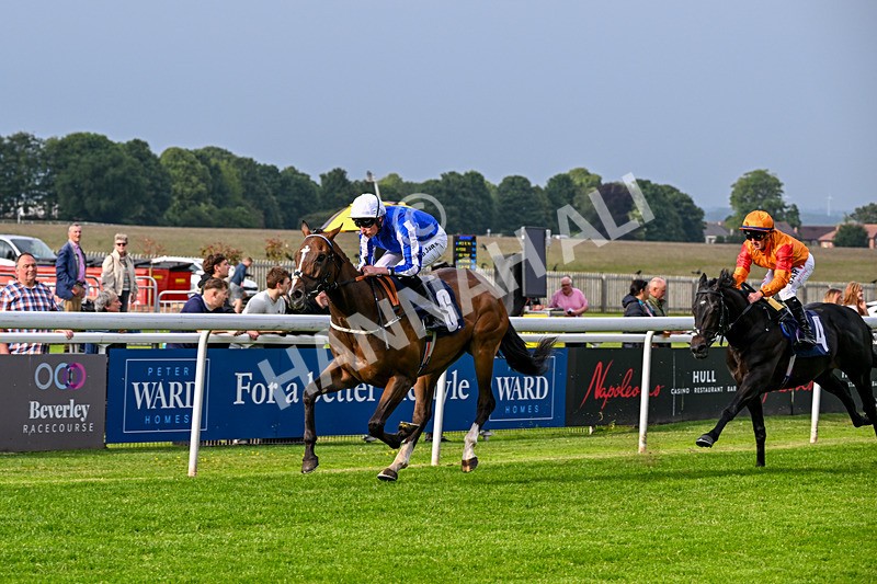 160626-Race 1-Waasil-3183 - Race 1 18.30pm Napoleons Casino Hull Dine In Style From £35 EBF Novice Stakes
