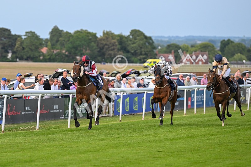 170625-Race 4-Nibras Gold-6745 - Race 4