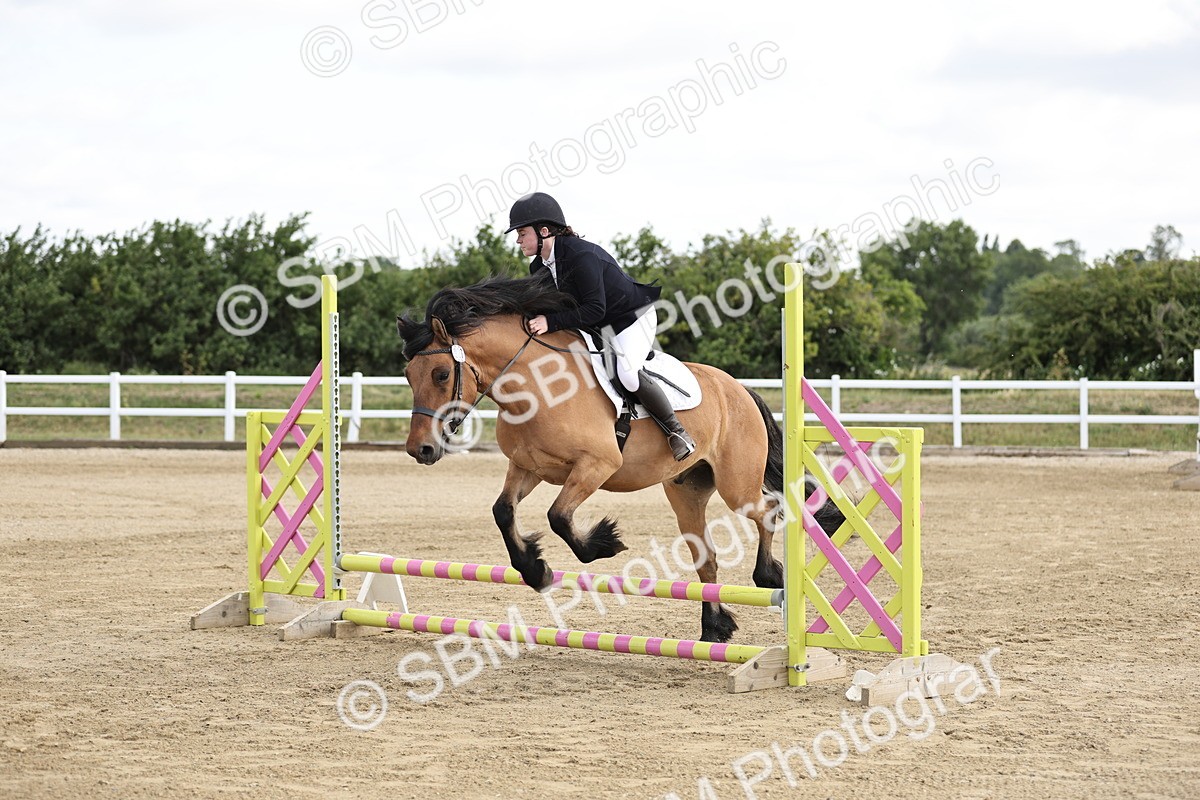 SBM_003500 - 50cm showjumping
