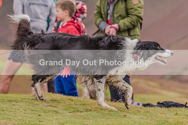 British Fell Relay-2189 - British Fell & Hill Relay Championship Braithwaite Keswick Saturday 21st October 2023