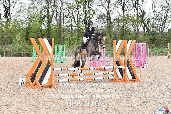 BPP_3167 - SAT CLASS 9 Club/ Unaffiliated 70cms Open