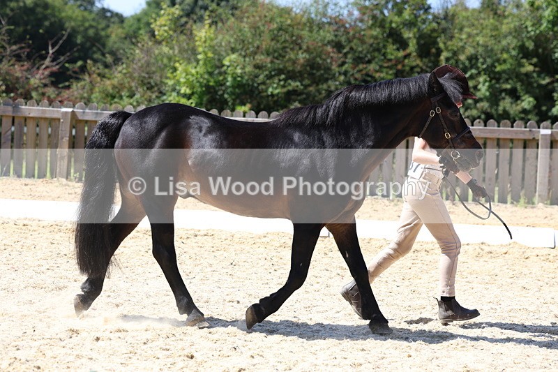 3E7A9397 - Class 29: Veteran In Hand