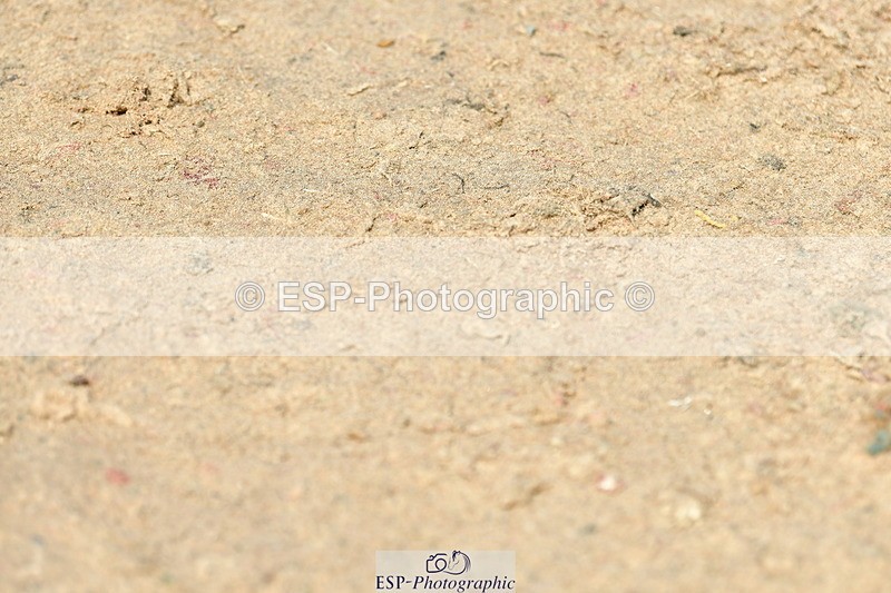 230723A-155013-13525 - Cls 36, 7 Yr Olds 1.30m