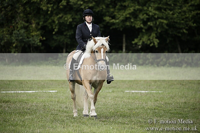 BVR090918 66 - BVRC Dressage and Show Jumping 09/09/18