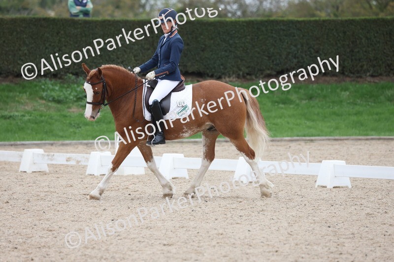 20251011-0398 - Class 4 - Novice 2