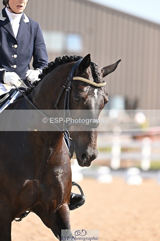 250816-104051-03450 - 074-Jessica.AllenHendrewen.Desert.Lady