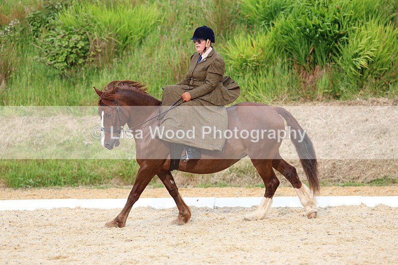 3E7A2075 - Class 3: Prelim 2 2024 Section A