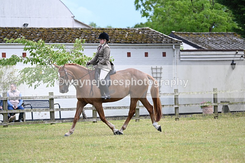 WJ7_9346 - Class 8 Ridden Veterans