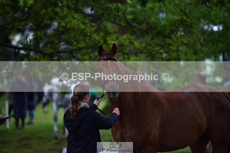 240522-164500-01127 - 219-HIT_CHAN_BOY_ALFA-Valentine_Emsens