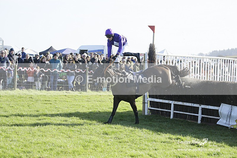 PtP 300122 132 - South Dorset Hunt - Point-to-Point Races 30/01/2022