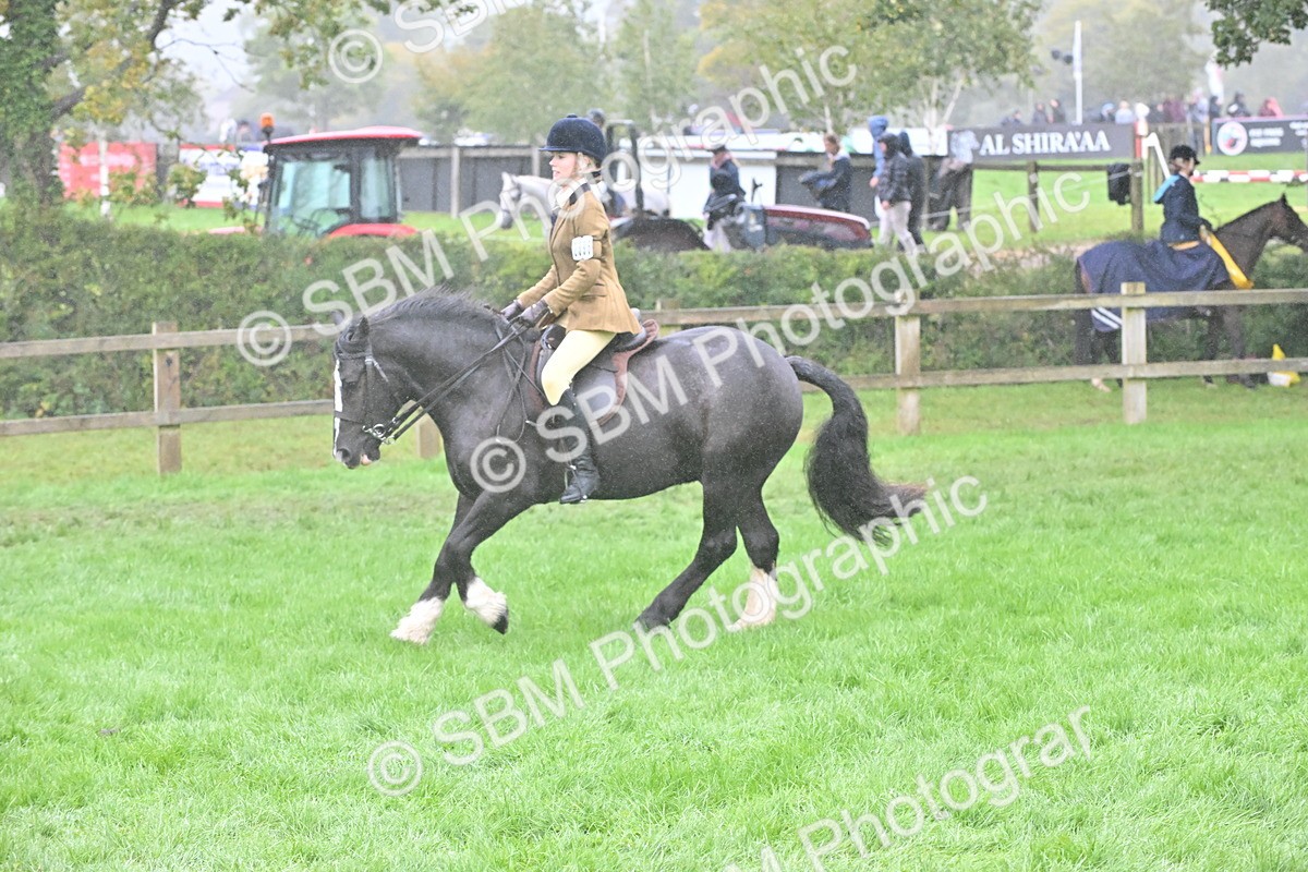 SBM_72427 - S43 - Ridden Equitation Best Rider