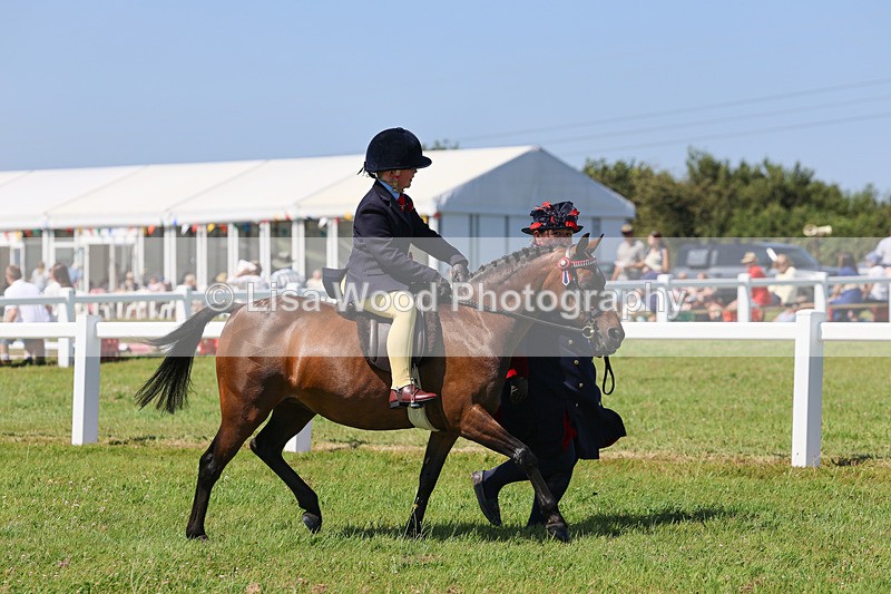 IMG_2200 - Class 36: Part Bred Ridden M & M