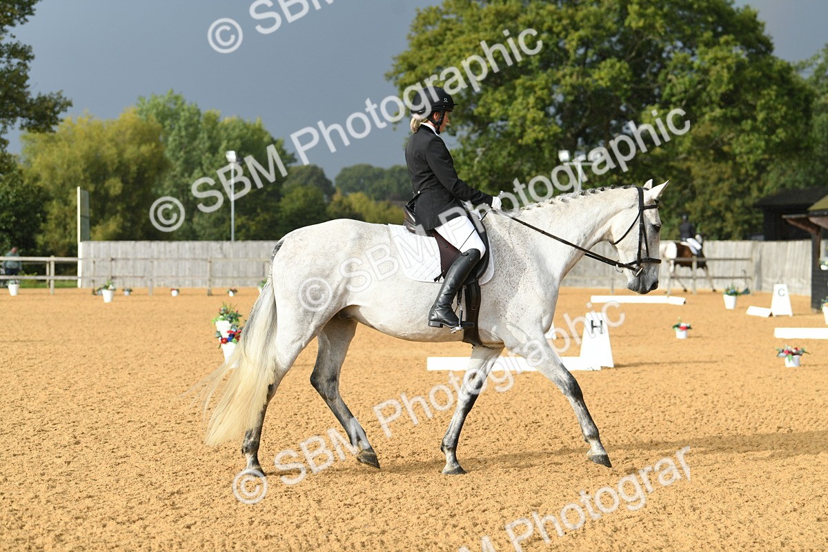 SBM_11150 - D28 Elementary Taster Elementary 42