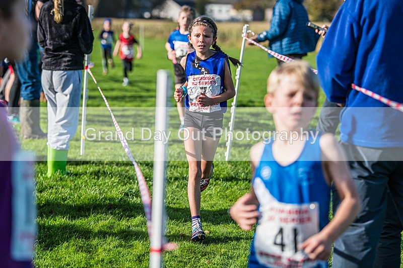 Cumbria XC-27 - Cumbria XC League Workington Saturday 26th October 2024