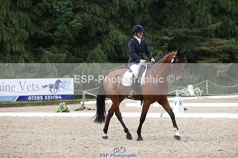 230812-115029-03872 - Cls 5 Novice Bronze 11.15 to 12.50 break