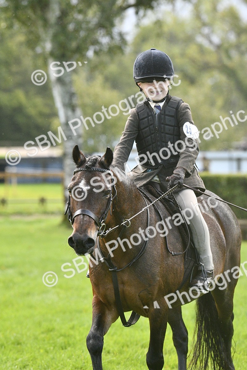 SBM_37185 - S31 - Novice & Newcomer Working Hunter Pony