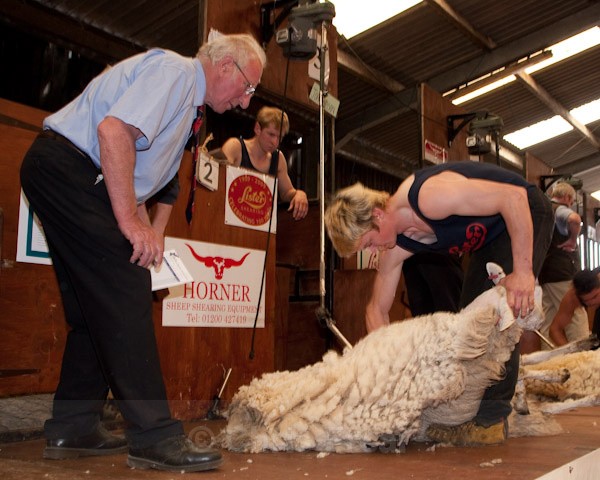 38 - Shearing Competition
