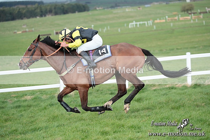 PtP 230324 903 - Tedworth Hunt PtP Larkhill Raccourse 23rd March 2024