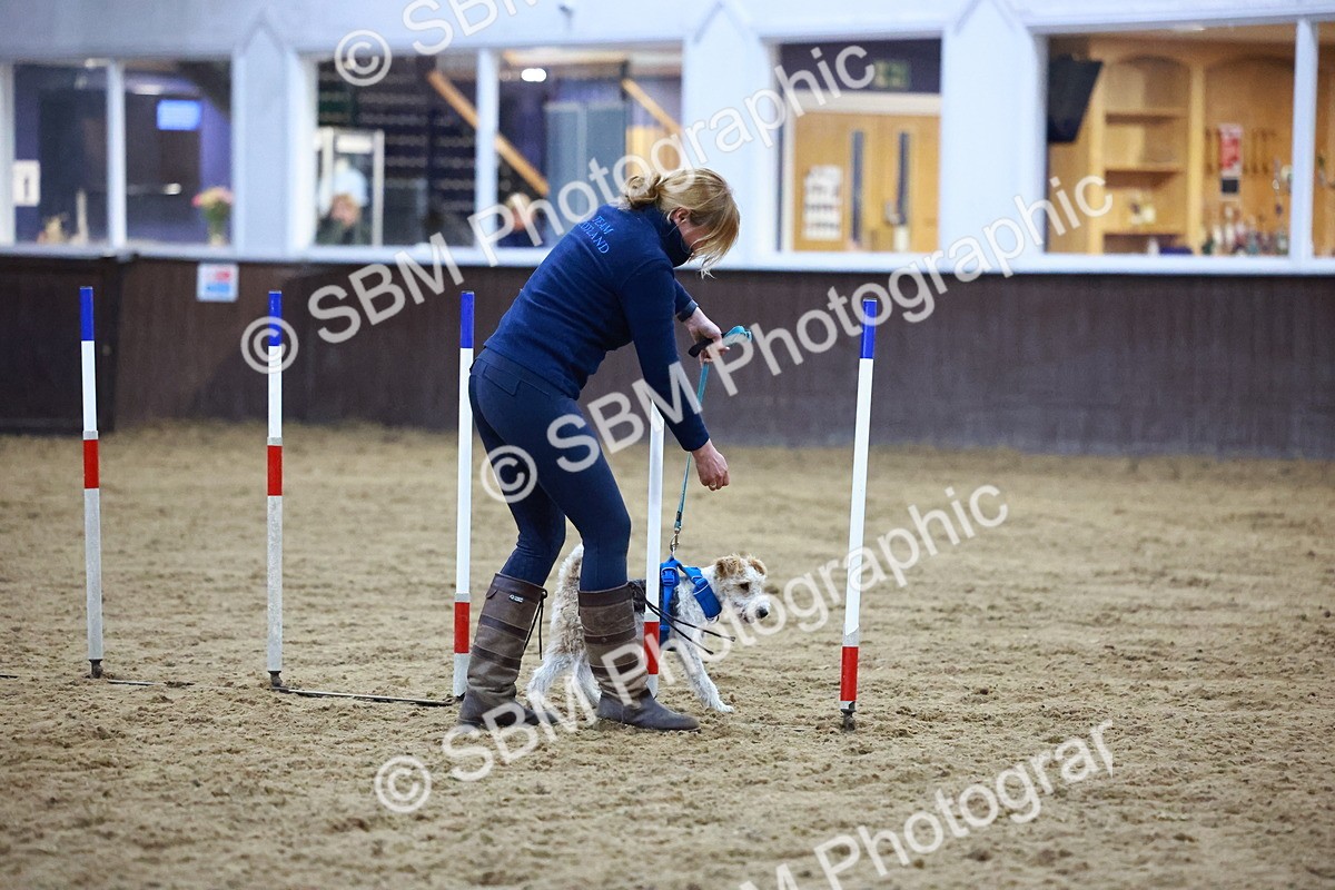 SBM_005536 - Evening Performance