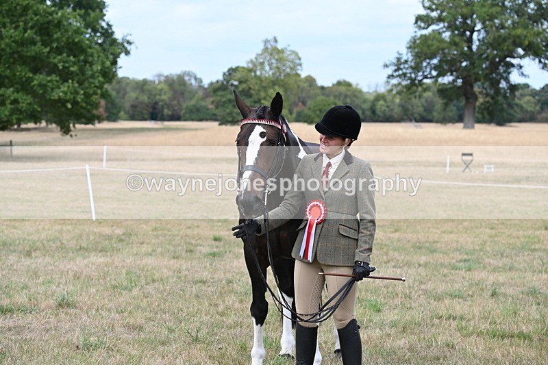 WJ6_6298 - Class 19 In-hand Veterans (Uploaded correct folder)