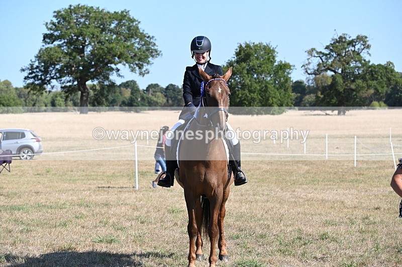 WJ6_7377 - Class 33 Rescue Pony