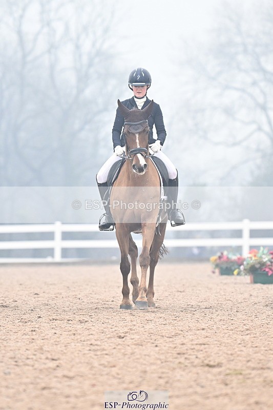 240217A-122959-02234 - 225-Lucy.Goodman-Queenie.S